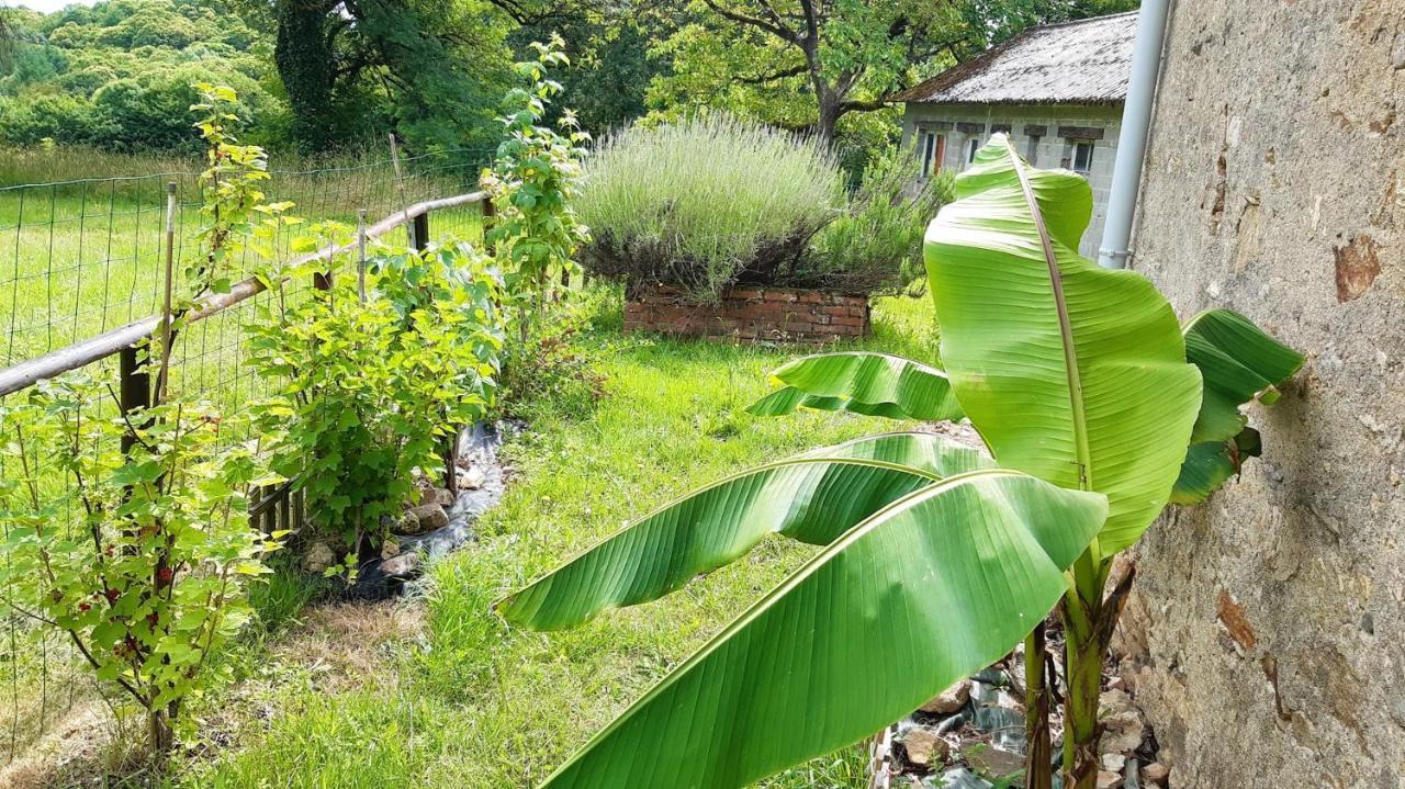 Appartement Charmant Orgnac-Sur-Vezere Avec Jardin Et Parking Εξωτερικό φωτογραφία